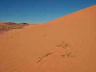 affascinanti dune dell'Erg Chebbi